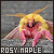 Fanlisting for Rosy Maple Moths