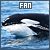 Fanlisting for Orcas (Killer Whales)
