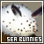 Fanlisting for Sea Slugs (Nudibranchs)